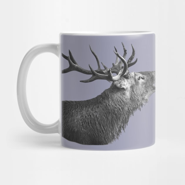 Bellowing Red Stag by dalyndigaital2@gmail.com